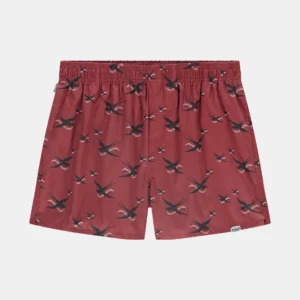Pockies Organic Boxershort -Swallow Brick