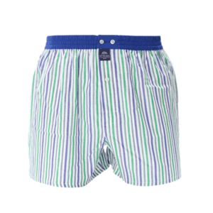Mc Alson boxershort met binnenbroek M5202- Stripes Green / Blue